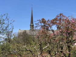 Die Klosterkirche 
